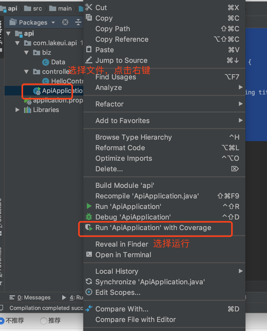 在IntelliJ 中运行SpringBoot2